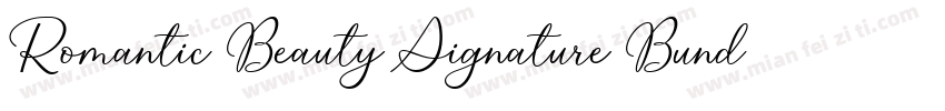 Romantic Beauty Signature Bundle字体转换